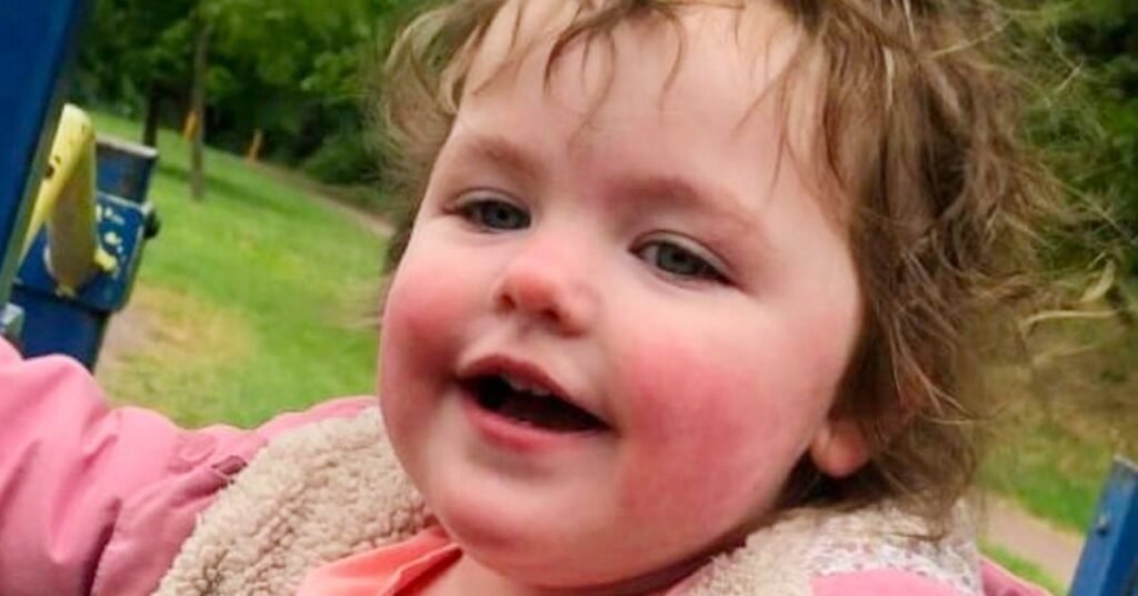 Milton Keynes Tragedy 4-Year-Old Girl Alice Stones Killed by Dog